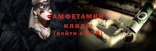 стафф Алзамай