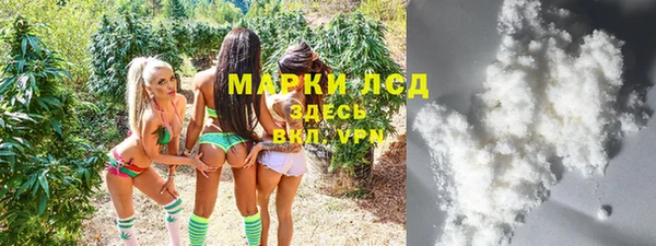 хмурый Пересвет