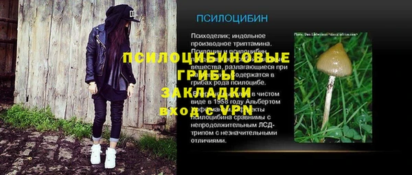 стафф Алзамай