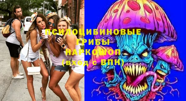 дмт Алексин