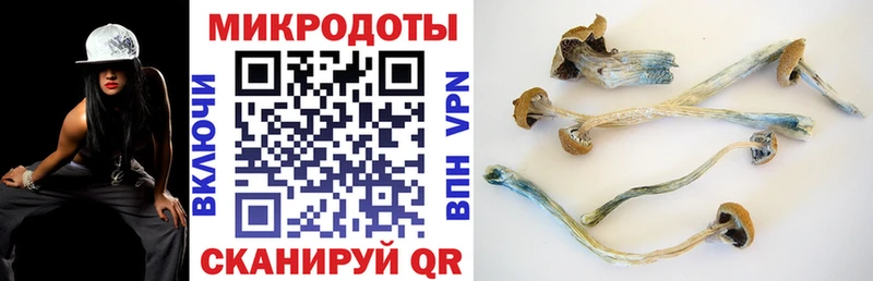 закладки мега зеркало Галлюциногенные грибы Cubensis Катав-Ивановск